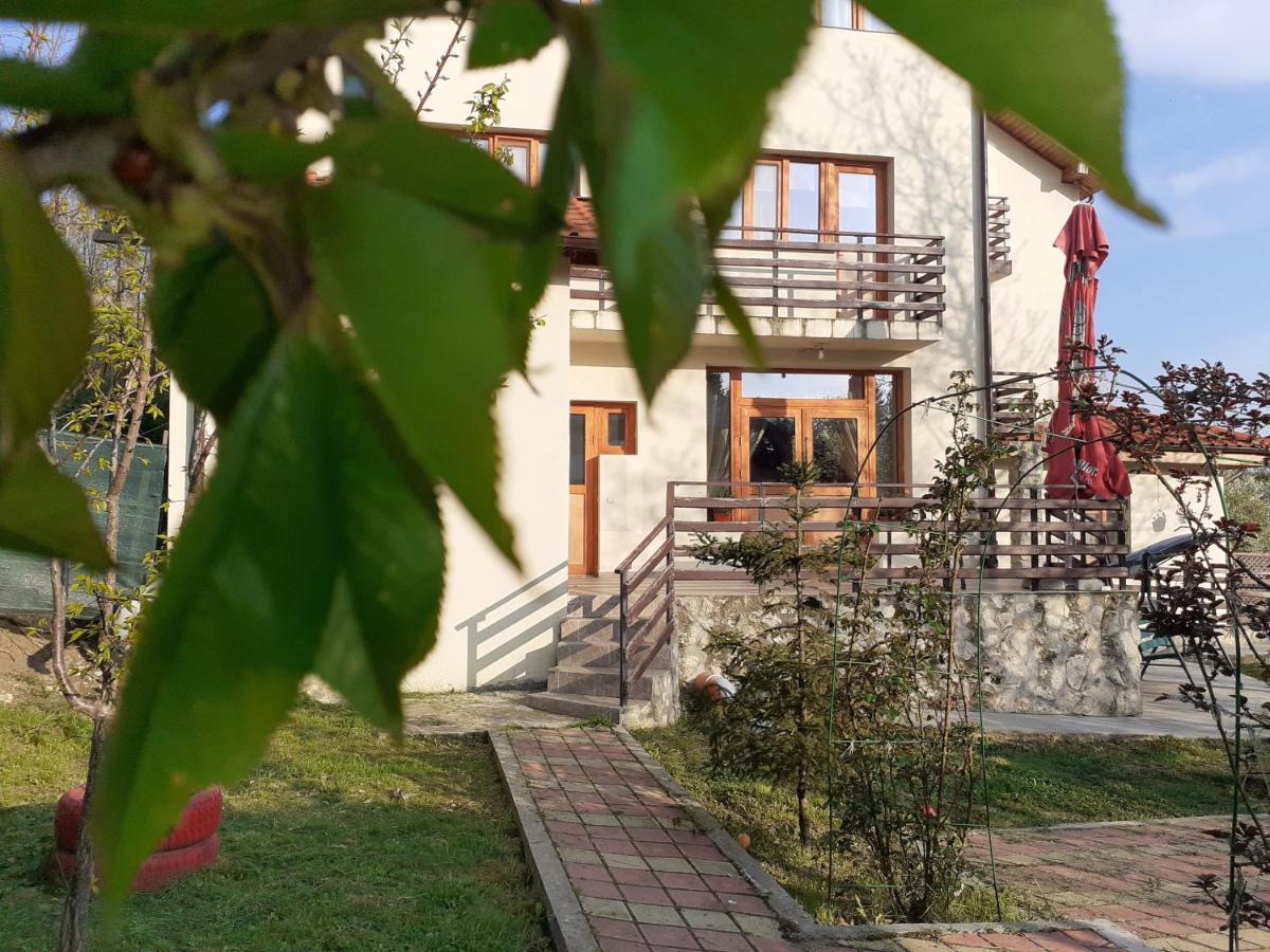 Pensiunea Montedoro Sărata-Monteoru Exteriér fotografie